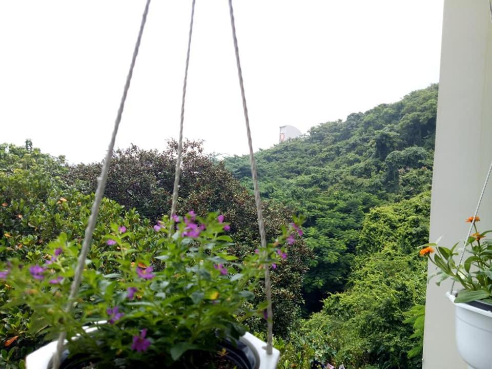 Lam Son Hotel & Apartments Vung Tau Kültér fotó